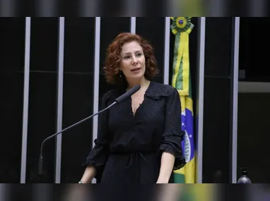 Carlos Souza Dias e a companheira Stefane da Hora Alvarenga foram presos pela prática do crime de furto