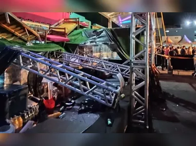 Árvore sem poda no Itaim Bibi, em São Paulo, no início de outubro: manutenção está no centro da discussão sobre apagões na cidade