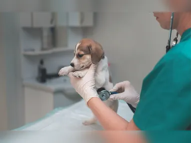 Contorno de Jacaraípe, na Serra, na rodovia ES-115, que liga Jacaraípe até Nova Almeida, será inaugurado hoje. Trecho deve ganhar radares em 2026