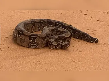Alagamento em Vila Velha: mensagens no celular avisam moradores sobre o risco de desastres naturais, como enchentes e deslizamentos de terra