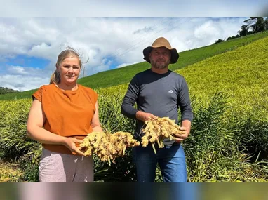 Daniela Camporez e Rosenilda de Souza (no centro da foto) com outros pesquisadores da área agrícola