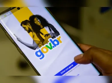 Ararinhas-azuis estavam em liberdade em criadouro conservacionista da Bahia. Aves foram capturadas para exames e ficarão em cativeiro