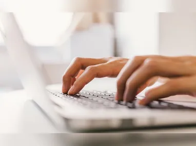 Leões são originários do continente africano e asiático, mas se adaptam bem ao clima do Brasil