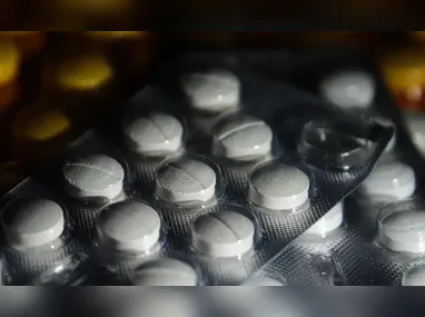 Vírus Nipah: como é transmitido? Pode chegar ao Brasil? Quais os sintomas?