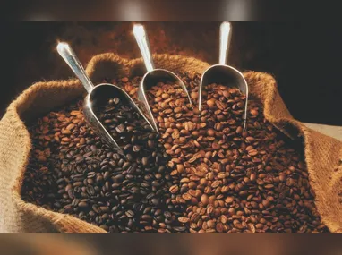 Poer P30: picape média da GWM