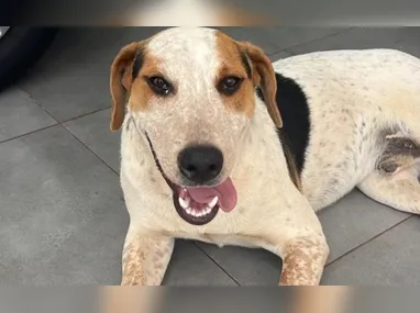 Segundo a investigação, ela havia acabado de perder uma ação judicial e foi atrás de um vidente, já falecido, que atendia na rodoviária do Plano Piloto