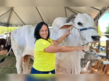 Imagem ilustrativa da imagem Criado em pastos do ES, gado "zero dentes" faz sucesso no exterior