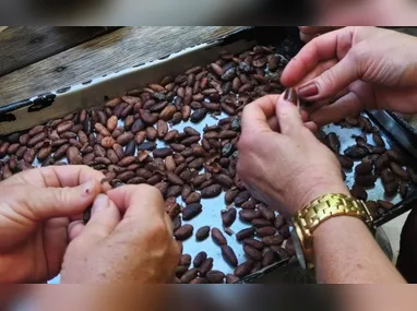 Leonardo Martineli, coordenador do curso