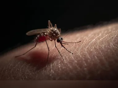 Segundo especialistas, o uso de remédios falsos pode causar riscos à saúde