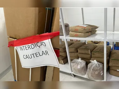 Aves silvestres foram localizadas e aprendidas