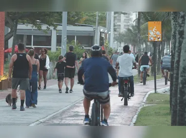 Ao todo 38 veículos serão leiloados