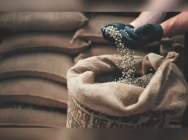 Beneficiários de 176 cidades de nove estados receberam o pagamento no último dia 19, independentemente do NIS