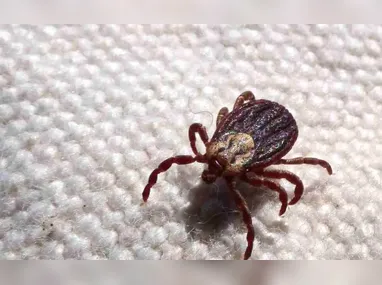 Foto de corpo que na verdade é de Ricardo Aquino dos Santos, de 22 anos, segundo a polícia