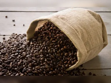 Atacantes seguem na dupla Vi-Rio para 2026