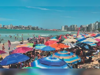 Camarão: pesca está proibida até o final de fevereiro