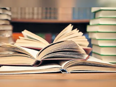 Gabriela Deorce de Oliveira e Janderson de Oliveira Pinto