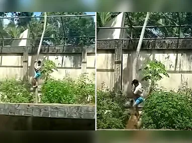 Imagem ilustrativa da imagem Jovem morto em zoo tinha transtornos mentais e queria cuidar de leões na África