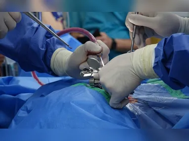 Fiscais da prefeitura durante a ação, realizada na Área de Proteção Ambiental Baía das Tartarugas, em Vitória