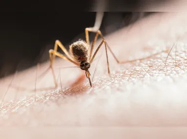 Termômetro marca temperatura de 40ºC: mudanças climáticas já são visíveis no cotidiano do serviço de saúde