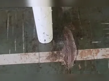 Imagem ilustrativa da imagem Menino de 12 anos morre após se pendurar em trave e ser esmagado no PR