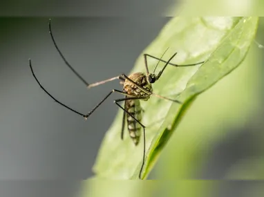 Celular com página do Instagram