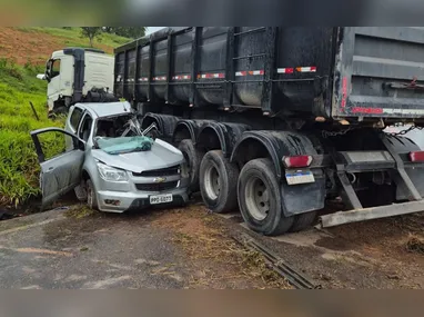 Policia Civil localizou animais furtados em propriedade rural