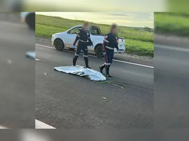 Os irmãos Ágatha Isabelly e Allan Michael seguem desaparecidos