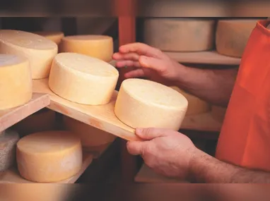 Concurso estadual de queijos acontece nos dias 10 e 11 de março