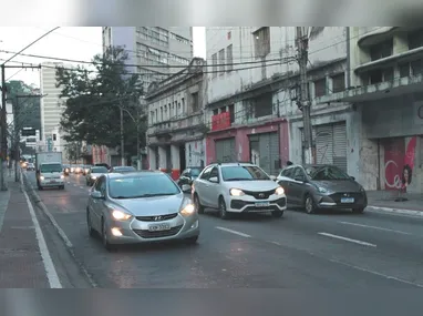 Gerson invadiu o recinto de Leona, única leoa do zoológico