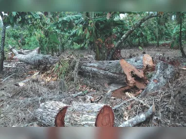 Para o resgate, foi utilizado o equipamento Cesto