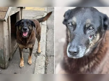 Mulher foi declarada morta pelo Samu