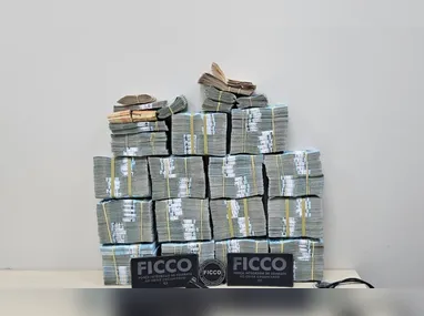 Programas visam proteção de vítimas de violência doméstica e redução da criminalidade