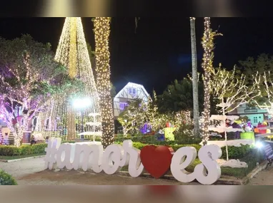 Filhote segue em observação, e a expectativa é que, após os cuidados necessários, possa voltar ao seu ambiente natural