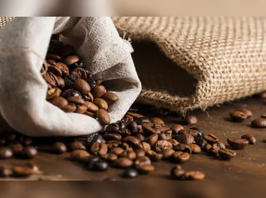 U. Connect Residence