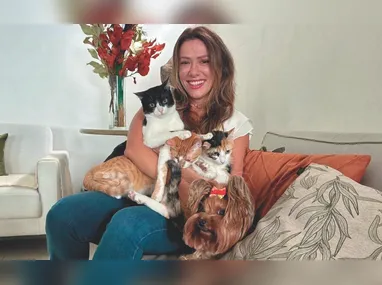 Bonecos vão enfeitar decoração