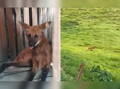 Temporal provoca alagamentos em cidade do Sul do ES
