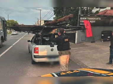 Jorge Vieira de Oliveira e Matheus Luiz de Oliveira receptavam e desmanchavam os caminhões furtados