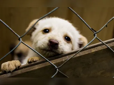 Correios vetaram pagamento de um crédito extra de fim de ano aos empregados