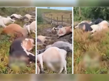 Segundo os bombeiros, não haviam pessoas no prédio e as chamas não deixaram nenhuma vítima