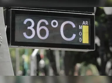 Cardume na Praia do Leme foi registrado pelo Globocop, da TV Globo