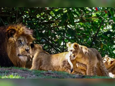 Escola Municipal Leonel Azevedo, na Ilha do Governador