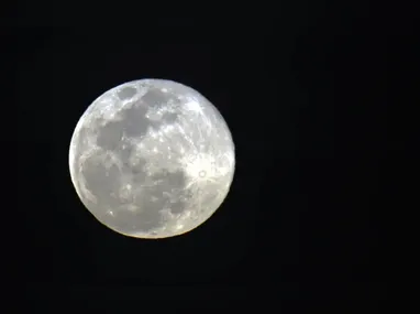 Enzo se tornou popular no país a partir dos anos 2000, com o nascimento do filho da atriz Claudia Raia e Edson Celulari