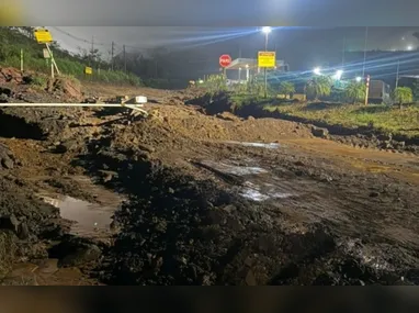 Rodrigo Mudrovitsch é advogado e professor