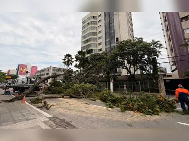 Policiais: reforço na segurança pública