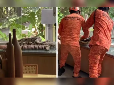 Babu revela que Victor Hugo, do BBB 20, recebeu pombo decapitado pelo correio