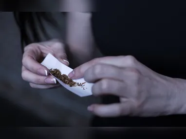 O jacaré recebeu atendimento no Hospital de Silvestres, mas não resistiu