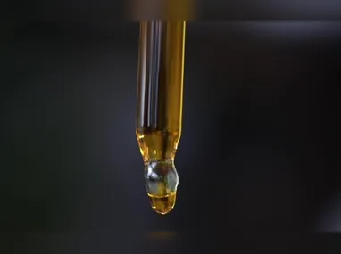 Imagem ilustrativa da imagem Uso de óleo de canabidiol por crianças autistas traz melhora na sociabilidade