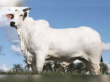Yuri estava em um passeio de bicicleta com amigos quando foi atingido pelo raio