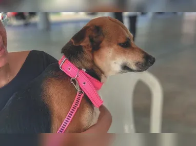 Lancha do Aquaviário terá reforço durante o feriadão