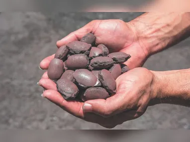 Imagem ilustrativa da imagem Vale e Biancogrés têm projetos à espera de soluções